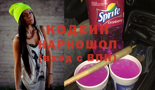 твердый Инта