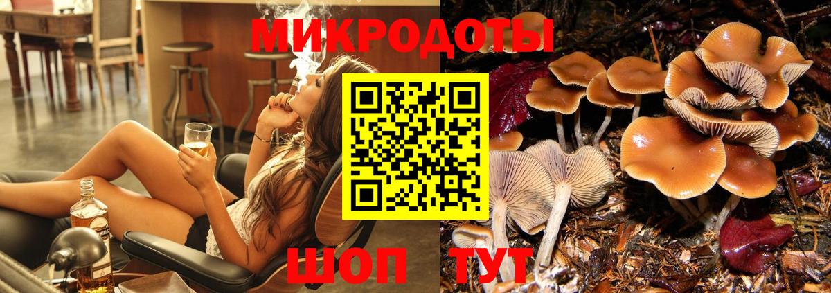 Галлюциногенные грибы Cubensis  Вход с VPN  Йошкар-Ола 