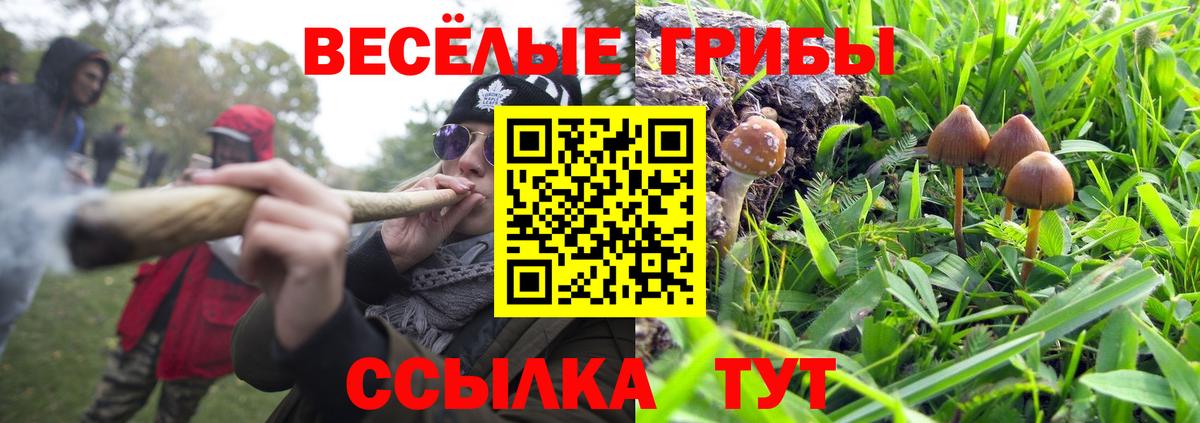 Псилоцибиновые грибы Magic Shrooms Йошкар-Ола